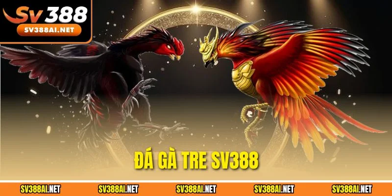 Đá Gà Tre SV388 - Loại Hình Chọi Kê Kinh Điển Nhất 2025