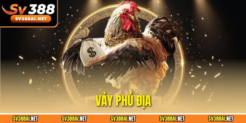 Giải Mã Vảy Phủ Địa Trong Gà Chọi Theo Kinh Nghiệm Sư Kê